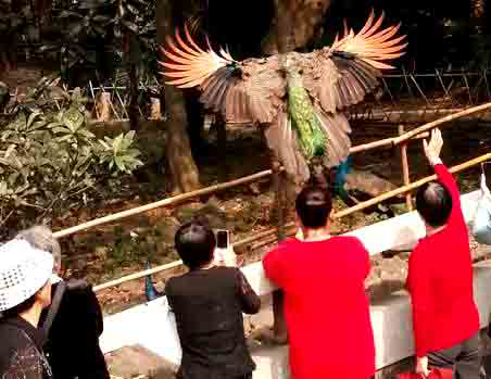 图片关键词 图片关键词