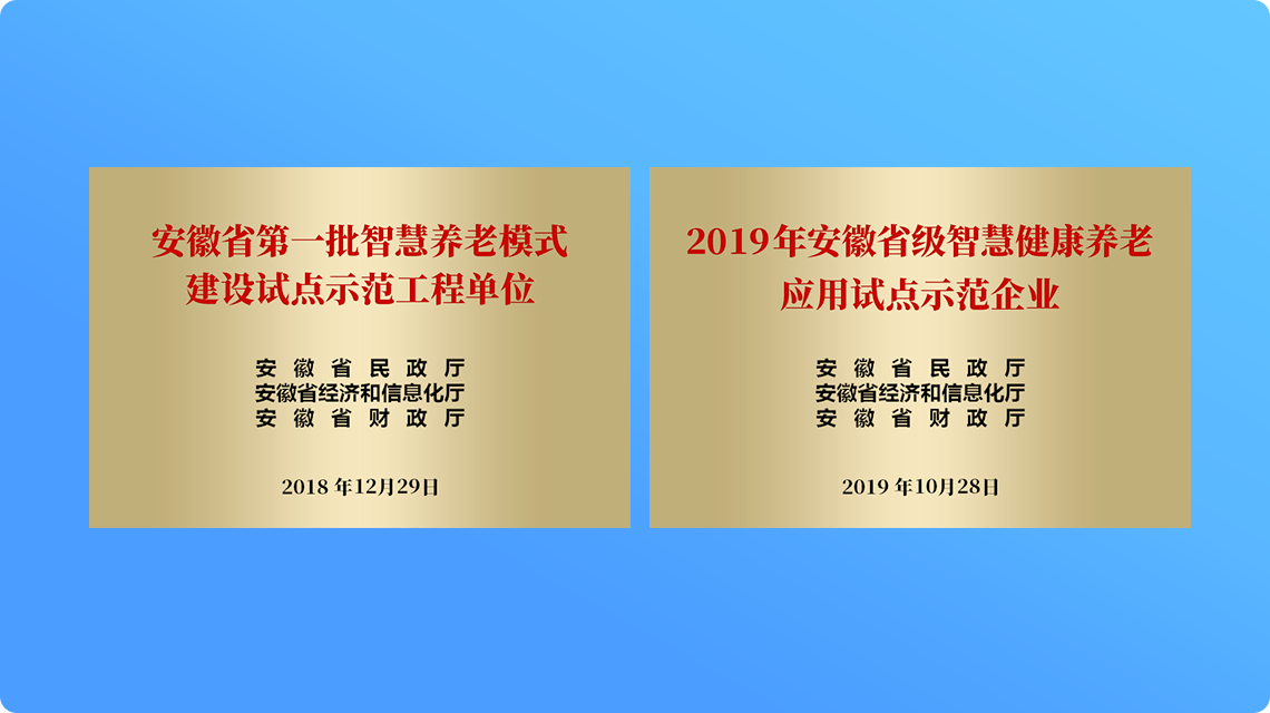 智慧养老示范工程企业